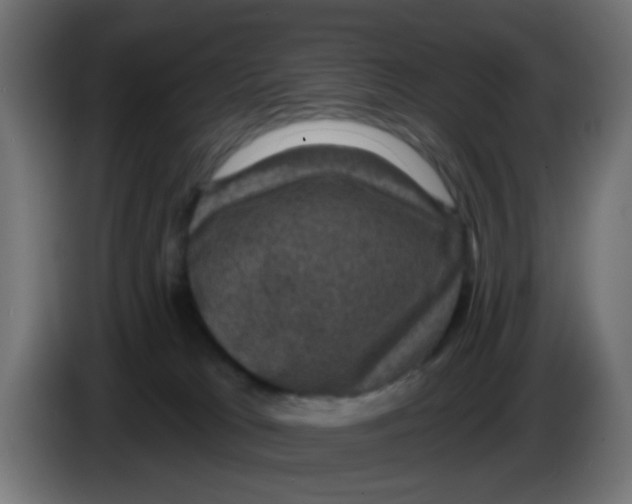 X0000086050037200704132006