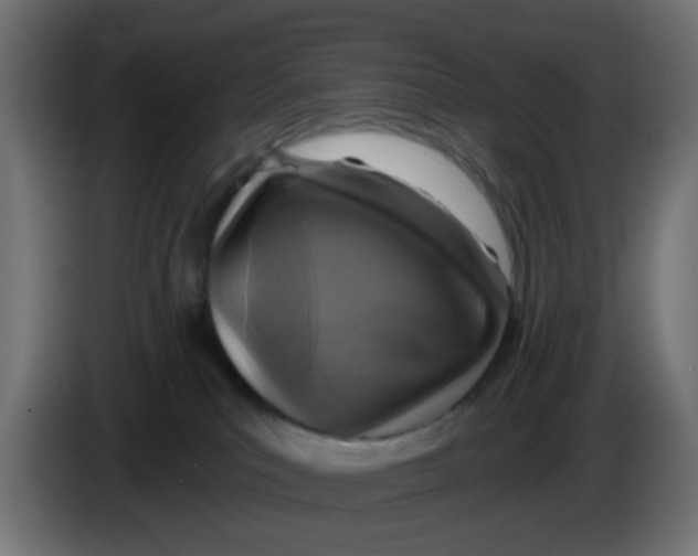 X0000086050039200704132006