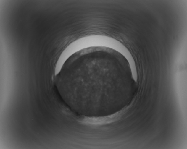 X0000086050041200704132006