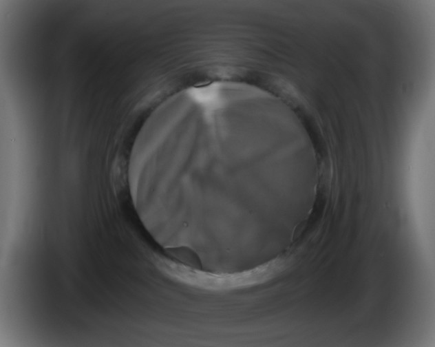 X0000086050043200704132006