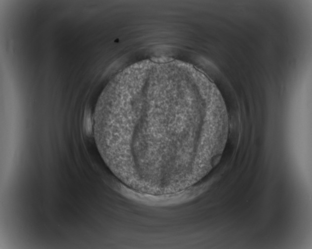 X0000086050046200704132006