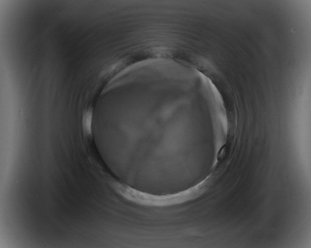 X0000086050047200704132006