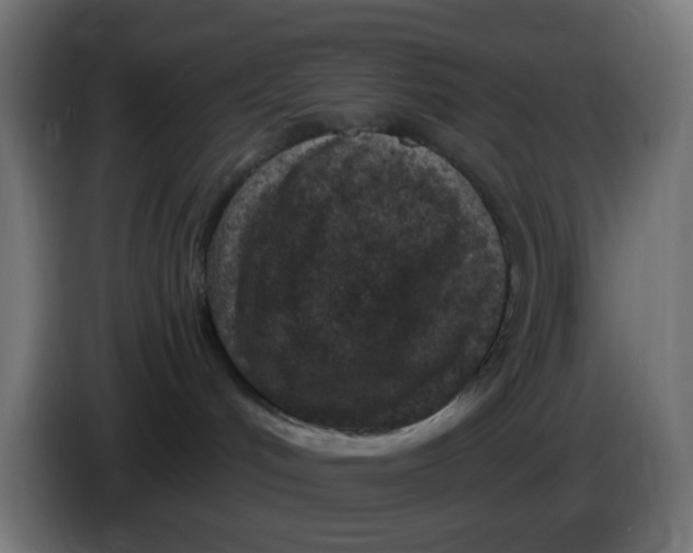 X0000086050048200704132006