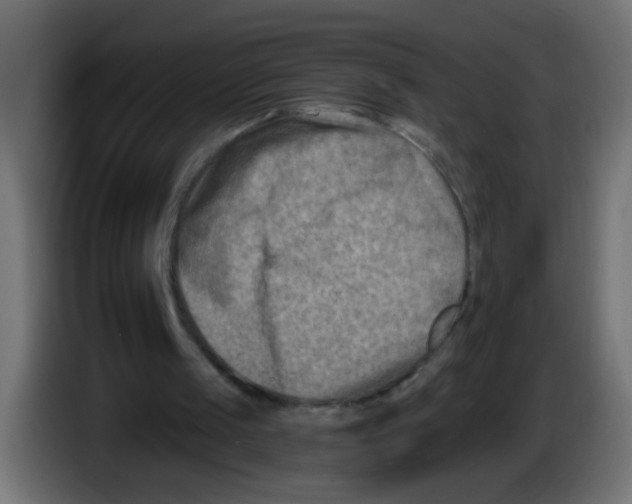 X0000086050049200704132005