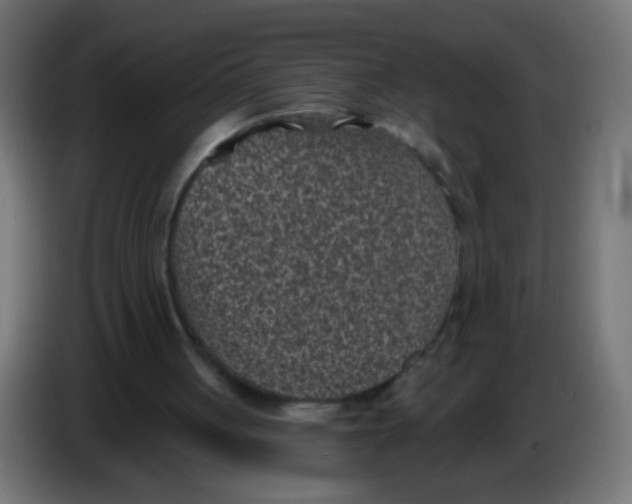 X0000086050051200704132005