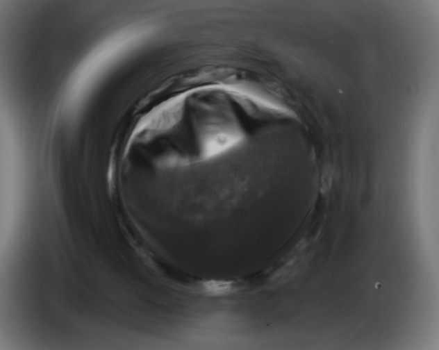 X0000086050052200704132005