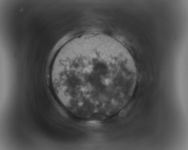 X0000086050053200704132005