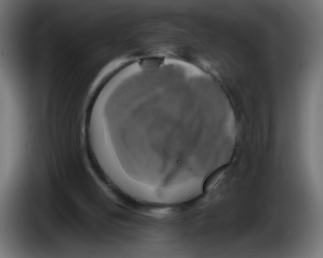 X0000086050054200704132005