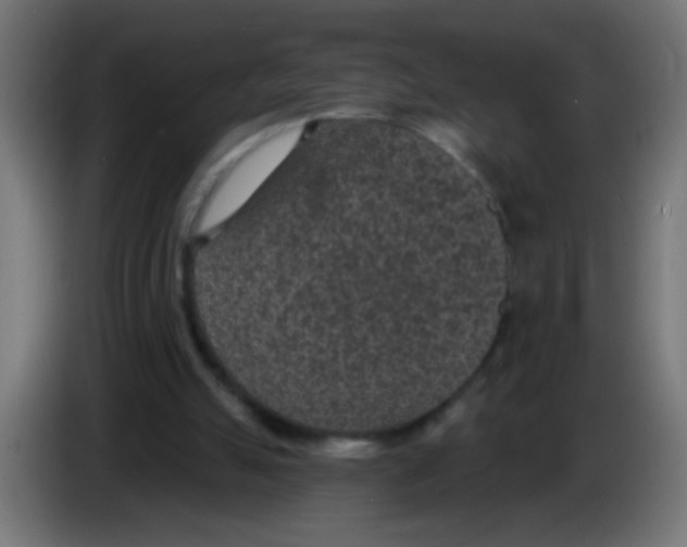 X0000086050055200704132005