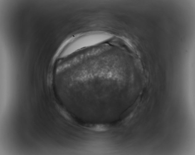 X0000086050056200704132005