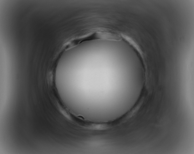 X0000086050057200704132005