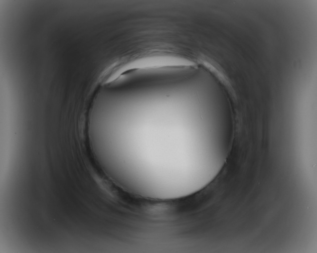 X0000086050058200704132005