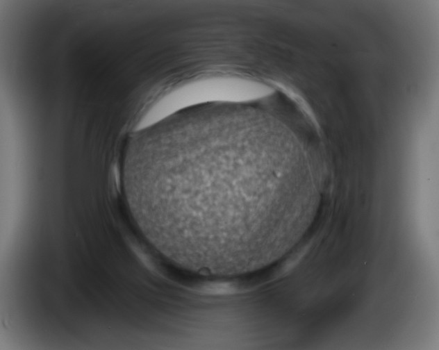 X0000086050061200704132005