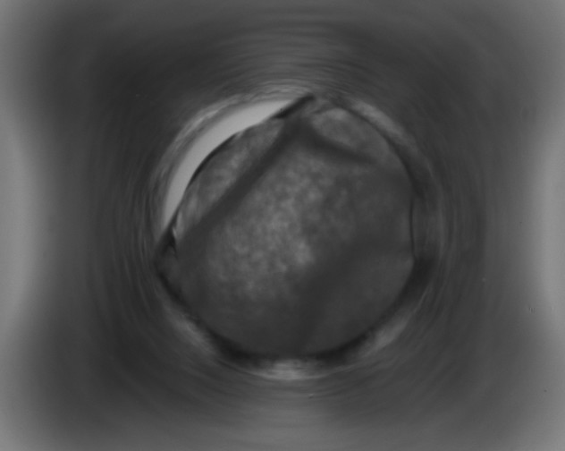 X0000086050064200704132005