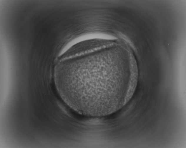 X0000086050065200704132005
