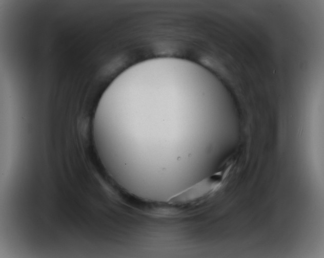 X0000086050066200704132005