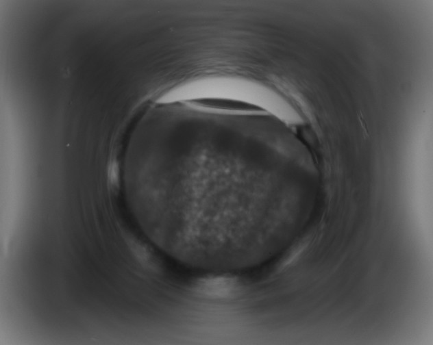 X0000086050067200704132005