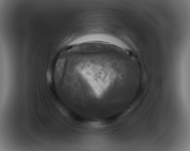 X0000086050068200704132005