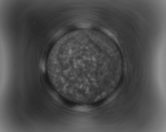 X0000086050069200704132005