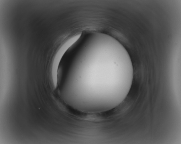 X0000086050070200704132005