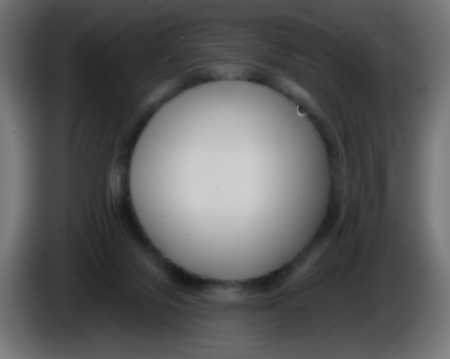X0000086050071200704132005