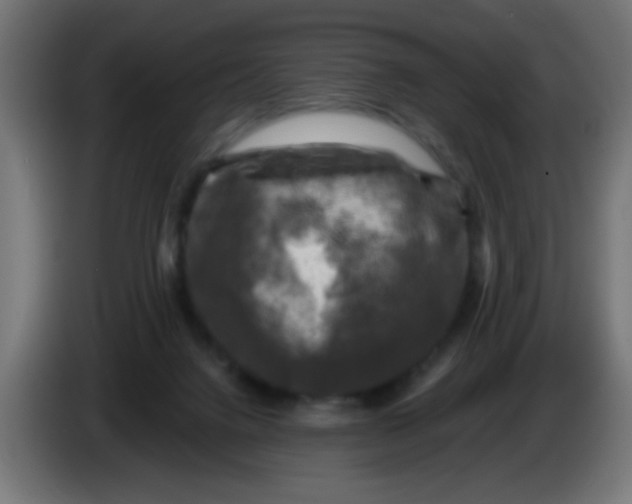 X0000086050072200704132005