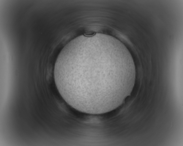 X0000086050073200704132005