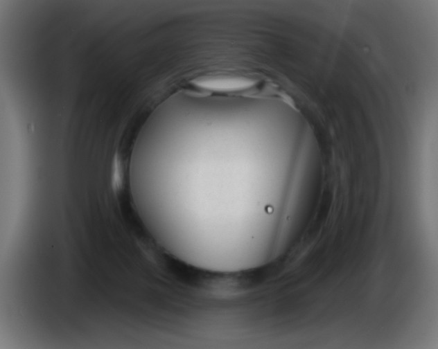 X0000086050075200704132005
