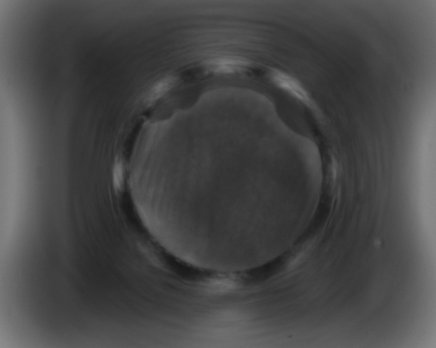 X0000086050076200704132005
