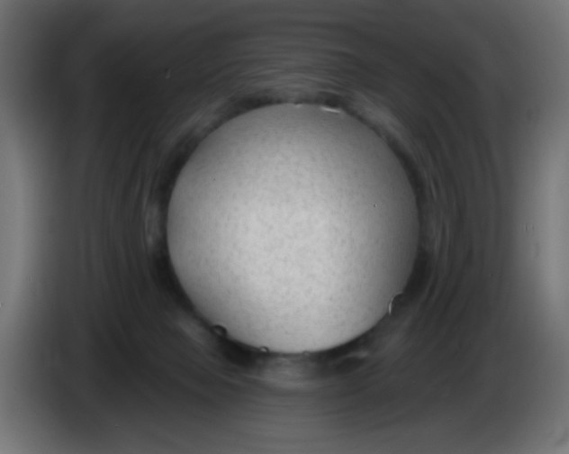 X0000086050077200704132005
