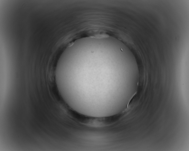 X0000086050078200704132005