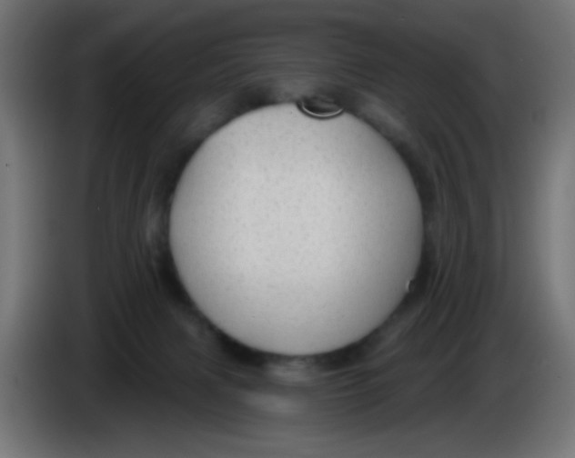 X0000086050079200704132005