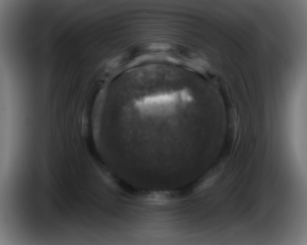 X0000086050080200704132005