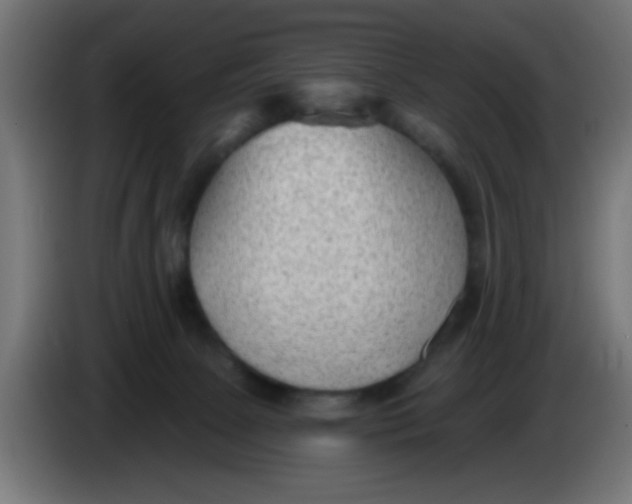 X0000086050081200704132005