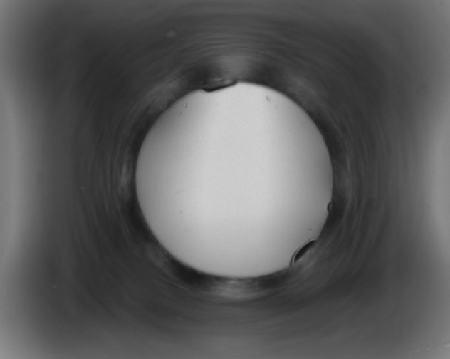 X0000086050082200704132005
