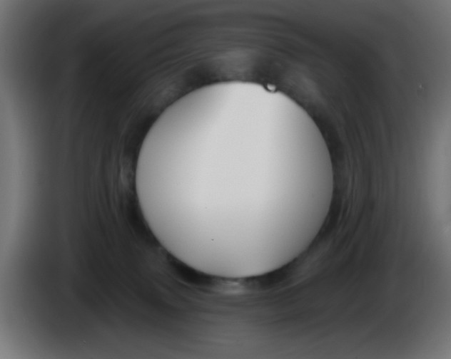 X0000086050083200704132005