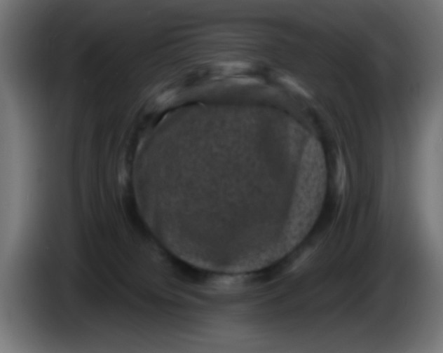 X0000086050084200704132005