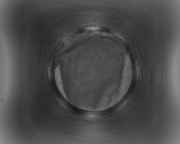 X0000086050088200704132005