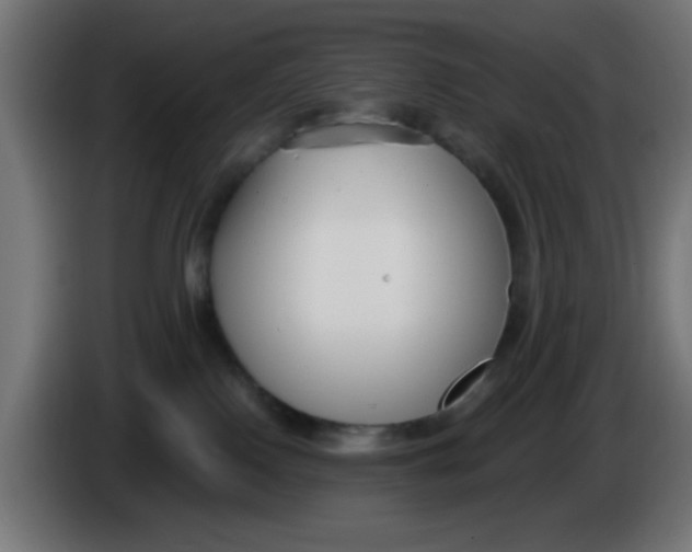 X0000086050090200704132005