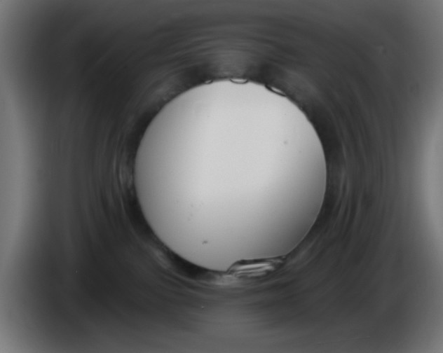 X0000086050091200704132005