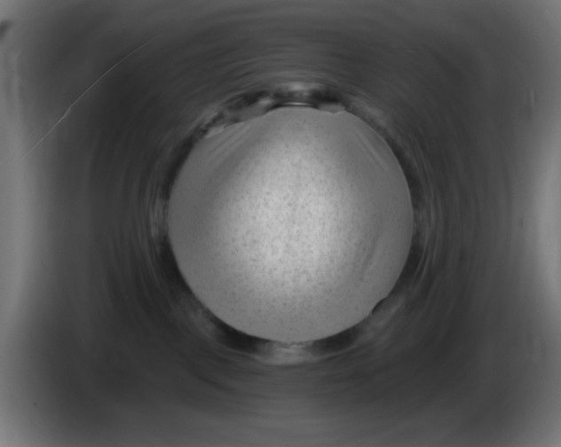 X0000086050093200704132005