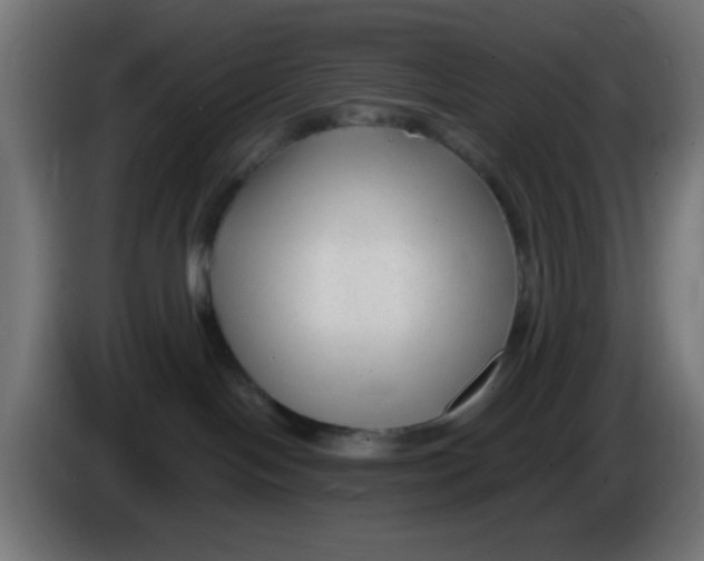X0000086050094200704132006