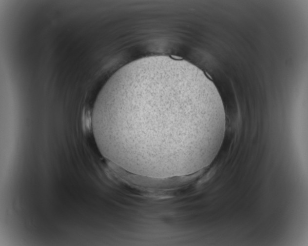 X0000086050095200704132006