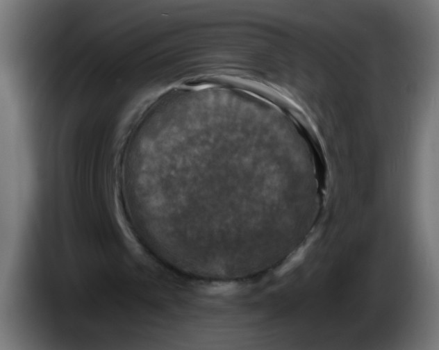 X0000086050097200704132005