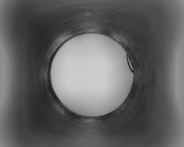 X0000086050098200704132005