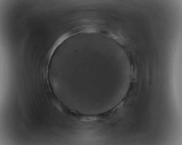 X0000086050099200704132005