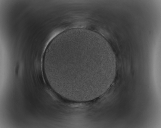 X0000086050100200704132005