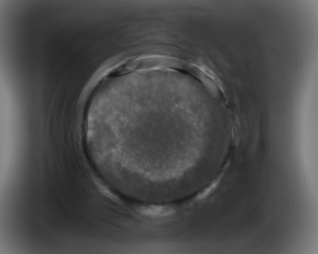 X0000086050101200704132005