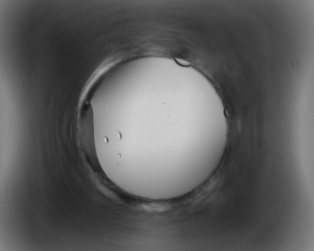 X0000086050102200704132005