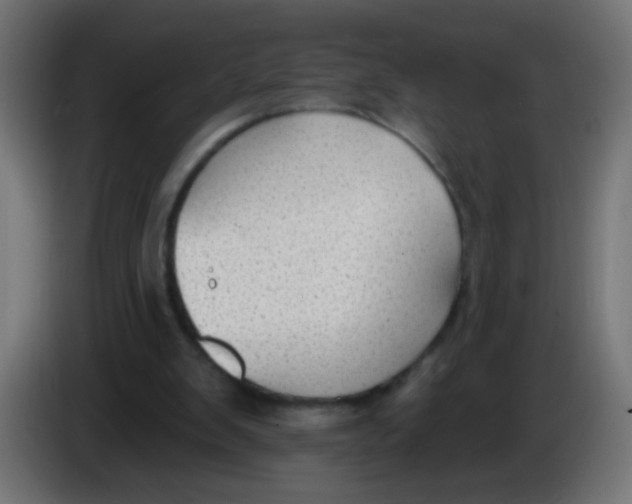 X0000086050103200704132005